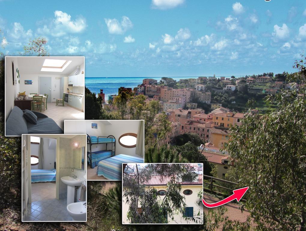 Apartment Berenice